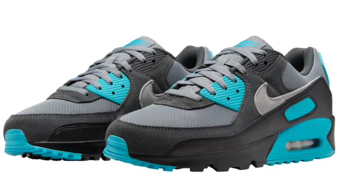 Nike Air Max 90 Cool Grey Dusty Cactus Black | Cactus Circuit